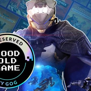 The Complex Challenge of Preserving Multiplayer Games After Servers Shut Down