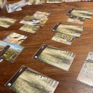 Useful Tools for Forest Shuffle: Dartmoor and 18 BosWash