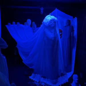 My Gaming Year 2024: 18XX, SETI, and New Friends